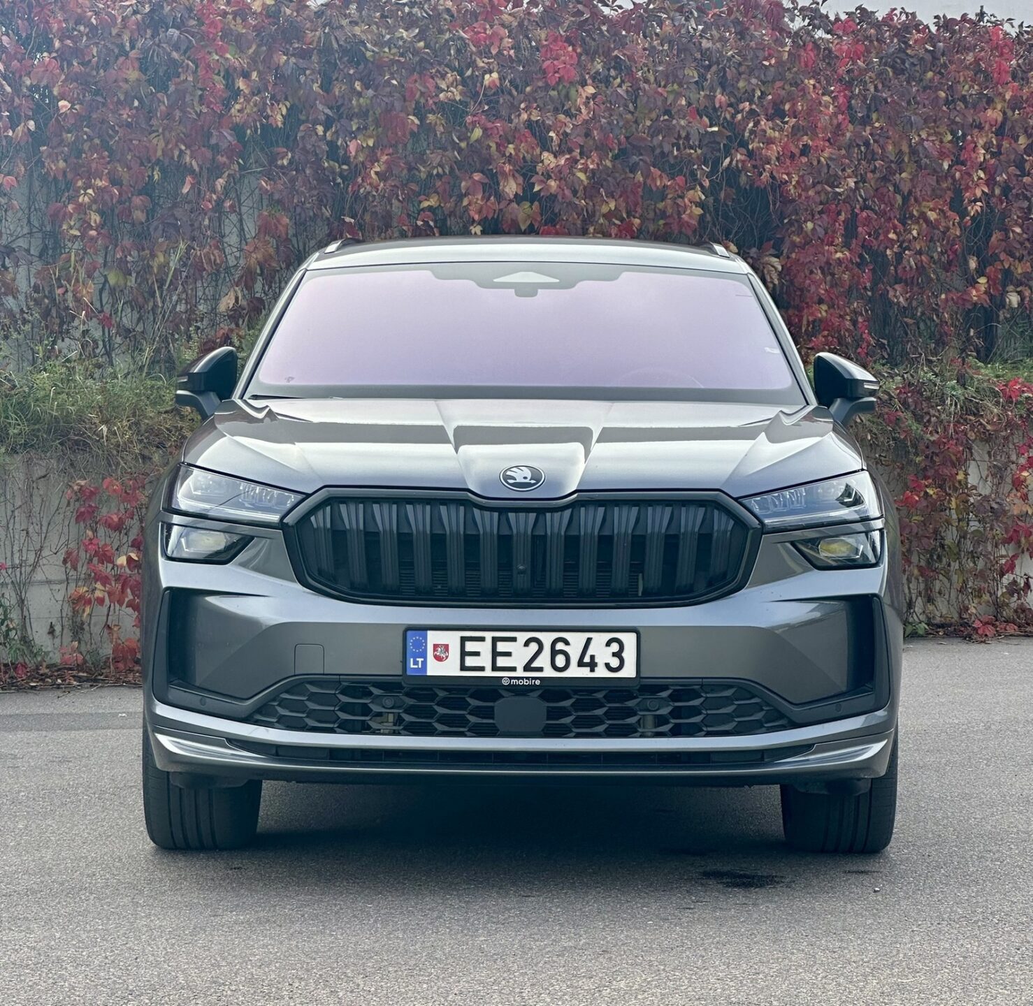 Skoda Kodiaq 2026